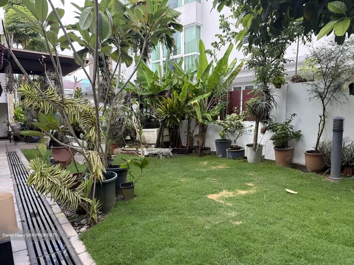 Sembawang Hills Estate (D20), Semi-Detached #539960771